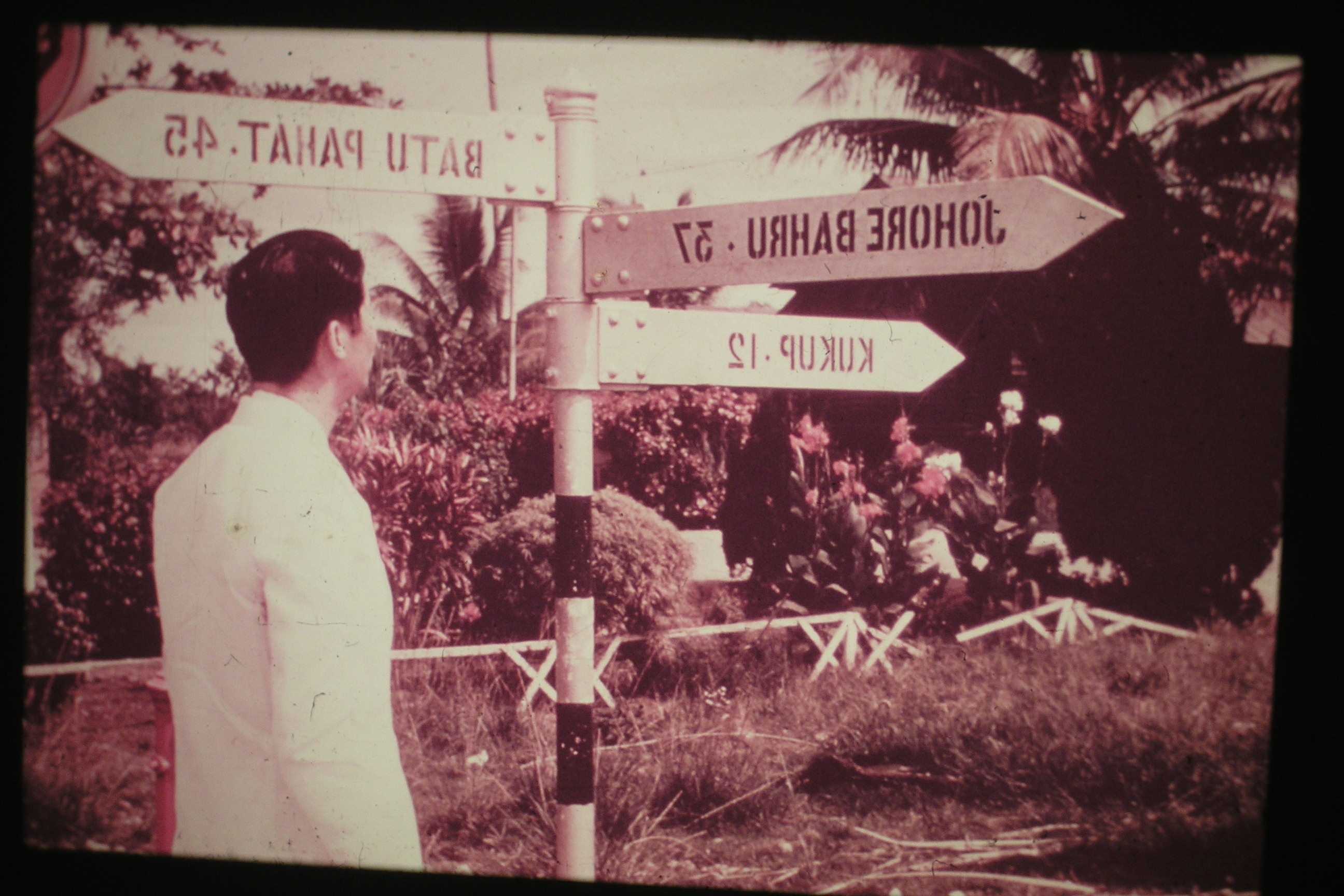 从抓壮丁看善恶之争对青年人的争