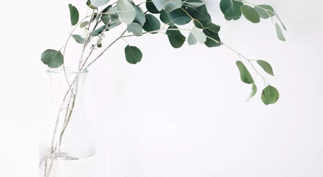   上帝所不能赦免的罪