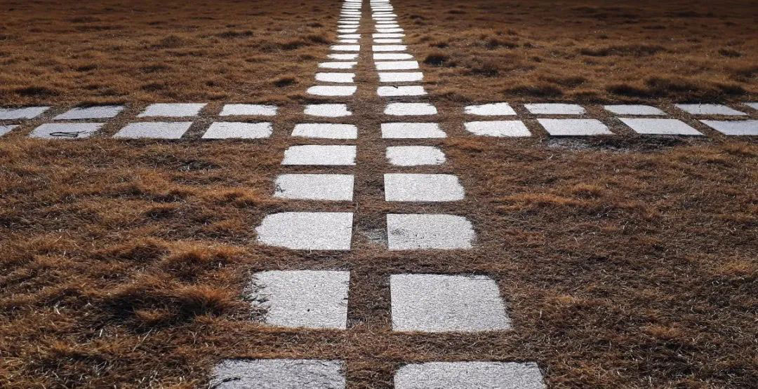 8 天上新来的好邻居