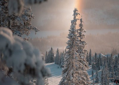 第三十讲 中医方剂之温里剂