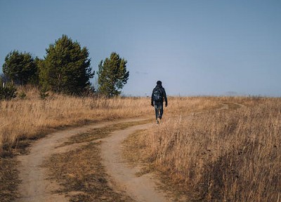 如何阅读《诗篇》