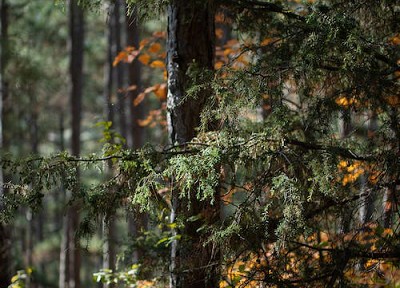 中医基础理论10